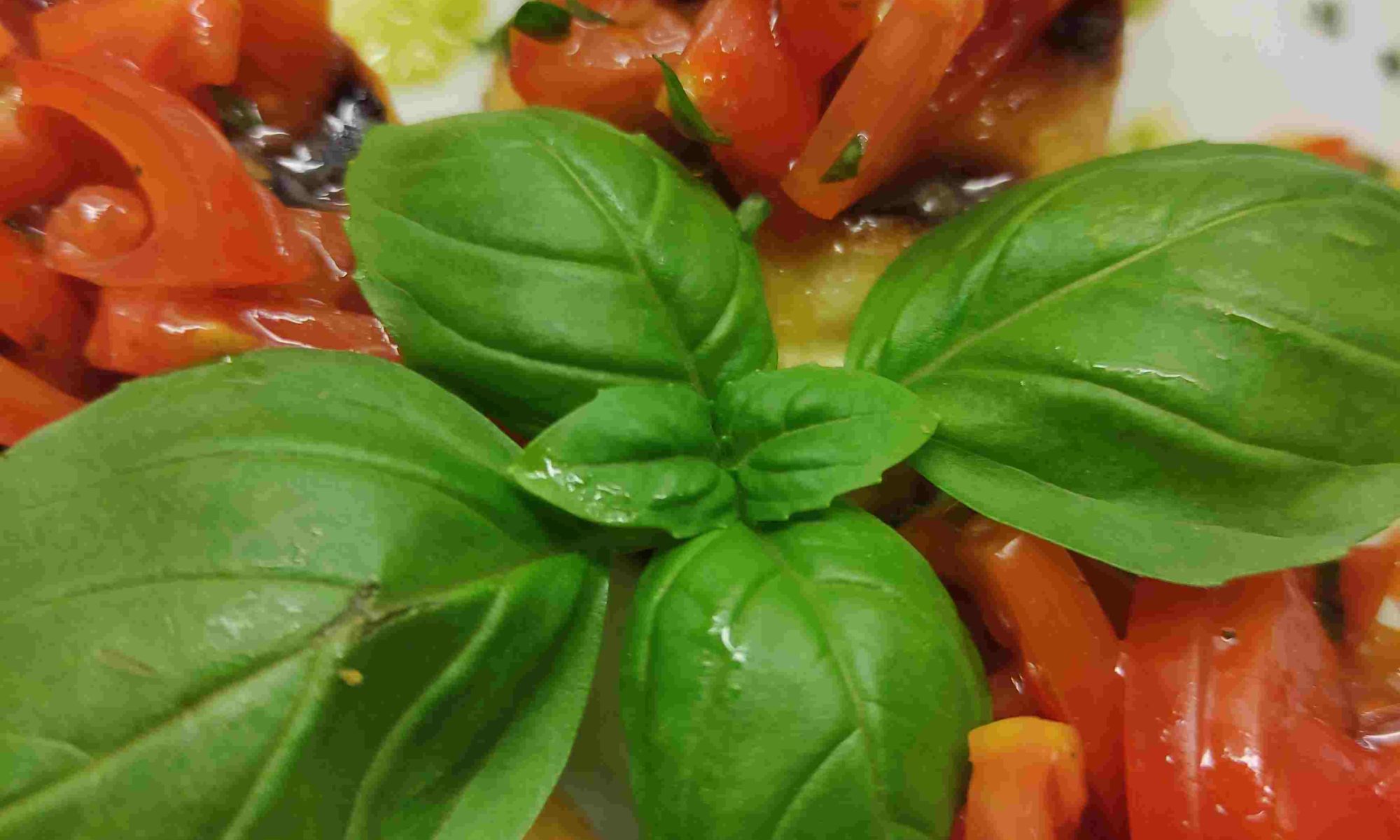 Bruschetta Pomodoro e Basilico - Bruschetta mit Tomaten und Basilikum